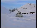 Tiger im Schnee