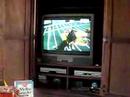 Titan Watches the Puppy Bowl