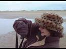 Beautiful Day Out With Our Dogs Ainsdale UK