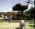 Brian trying to do a dangerous thing on a lawn chair