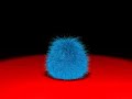 Fur Ball Animation