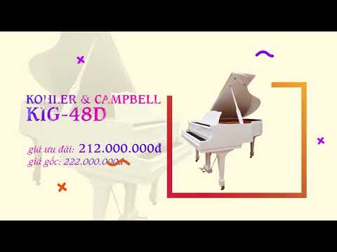 Việt Thương Music Fair 2020 - Ưu đãi hấp dẫn dành cho đàn piano