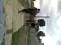 voladores de pachuk 3.3gp