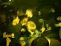 Brigád - Dél Pécs G.C.T.S.