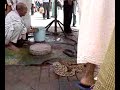 MARRAKECH INCANTATORI DI SERPENTI  A DJEMAA EL FNA  (MAROCCO 2008)