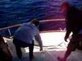 Guarda video