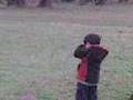 videos de Ramiro y las obejas