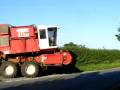 Pea Vining 2008 Pea Vining 2008