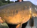 etang des abysses (presentation plan d'eau)