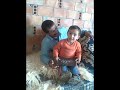 marocrida marocrida