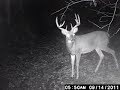 9 point 150+ inches whitetail from Cherry Tree Outfitters 