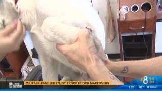 TROOP POOCH MAKEOVER CHANNEL 8 NEWS with Sydnee's Foundation