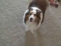 Dusty in HD