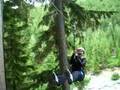whistler zip trek 2