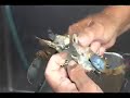 YouTube - Walking Fish CSF _ Softshell crab Cleaning