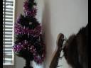 Merry Kittymas 2008 **purrrr**
