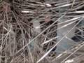Antony Gormley Blind Light at SEAN KELLY GALLERY