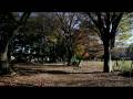 EOS 5D Mark II Sample Video Test