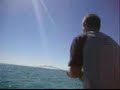 Nice jewfish