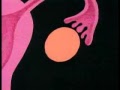 Human Body: Reproductive System (2nd Ed. Rev.) (clip)