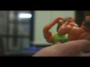 Dude Love Comedy Skit - Pickles and Dick