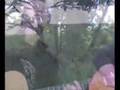 TYRANNOSAURUS JED : The Wizard (Bolan)