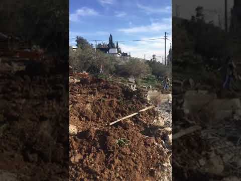 بالفيديو :- الاحتلال يهدم 3 شقق سكنية ومخزنا بالقدس