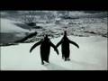 Guinness Penguins