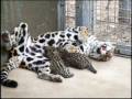 Gallery - Zoo Babies are so cute! 