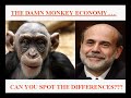 Economic Collapse - Monkey See Monkey Do!