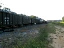 CSX at Vitis Jct., Florida 3