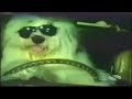 super videos divertidos 3