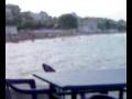 videos de PETALIDI LIAR BEACH