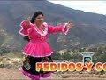 HUARI AÑORADO (huayno)