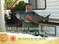 my biggest monster tyee salmon ever trolling downrigger