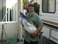 my biggest monster tyee salmon ever trolling downrigger