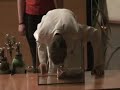 Voice change with sulphur hexafluoride :: Physishow Uni Bonn