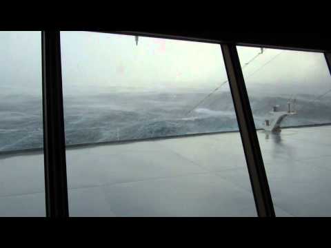 Cape Horn - On December 12-14, 2010, while cruising through Patagonia on Holland America's Veendam, we found ourselves right smack in the middle of one of those notoriou...