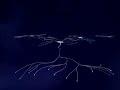 youtube- How Mercury Causes Neurodegeneration (Brain Damage).mp4