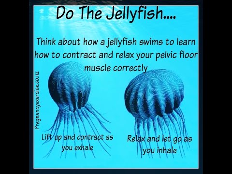 how to locate kegel muscles