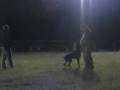 Landauer MySpace Vid