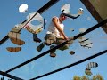 pergolas,pergolas,pergola de vidrio pergolas,pergolas,pergola de vidrio