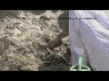 Excavation / Scavo
