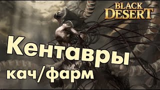 Black Desert (RU) - Кентавры 59+ фарм пояса и дорогих камней / Заработок серебра Black Desert (RU) - Кентавры 59+ фарм пояса и дорогих камней / Заработок серебра