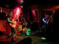 Muggefug/Cottbus: Tazmanian Devils (live, Psychobilly)