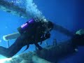 \"Islands of Steel\" at Texas State Aquarium