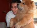 Samson - our beloved chow chow