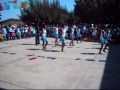 bofo