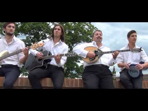 Youtube Video sfllr8KLJzE