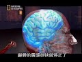 [Fight Science] The Power of one PUNCH or one KICK
